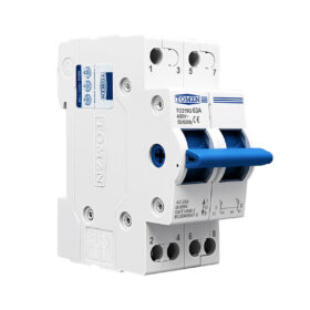 Dual Power Manual Changeover Switch (MTS)—63A, 400V AC